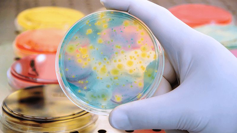 PCR引物合成：上海厂家的技术实力与行业格局