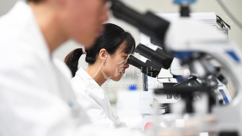 基因检测与基因筛查：揭开二者的神秘面纱