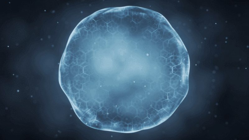 成都生物科技公司招聘：人才战略助力行业发展**