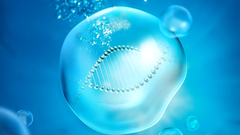 分子生物学试剂盒：操作流程解析与关键要点**