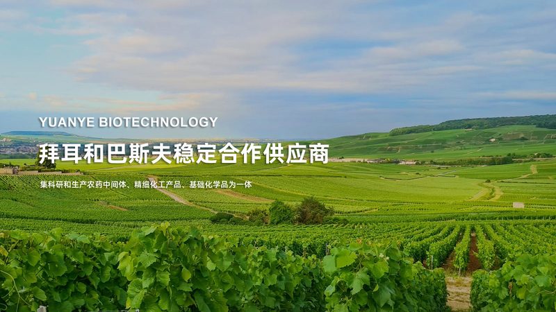 细胞培养板规格参数，揭秘其背后的科学奥秘**