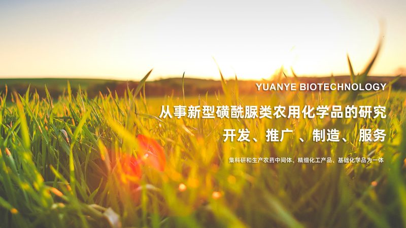 北京生物科技有限公司