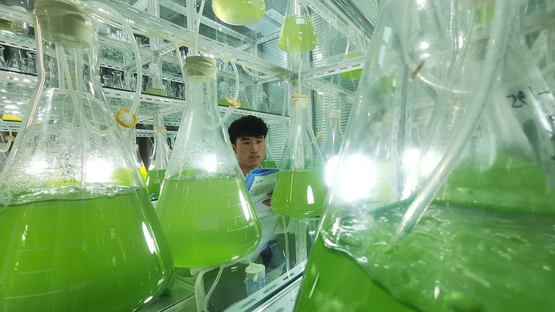 细胞工厂：揭秘十大品牌背后的技术秘密